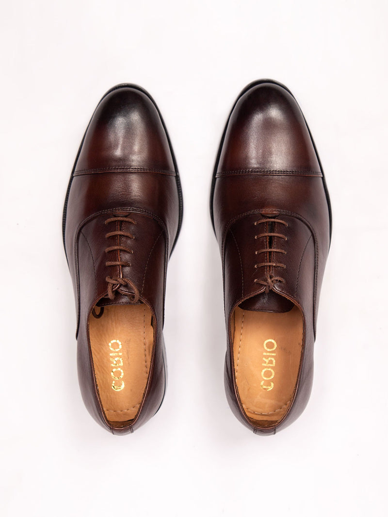 Bangor Oxford Shoes - Brown